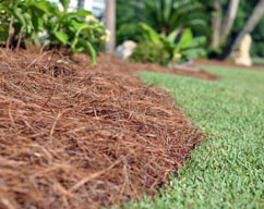 landscape mulching in the fall